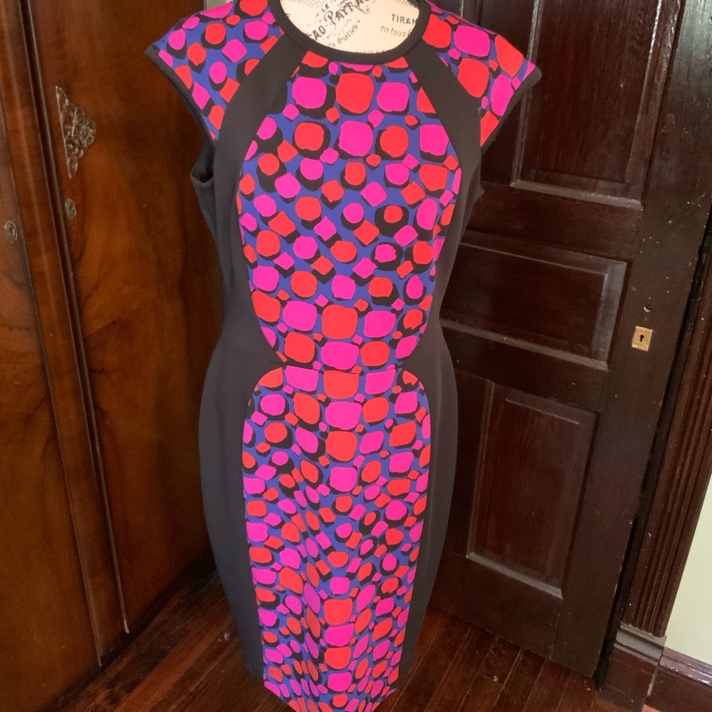 Anne Klein Pink Cap Sleeve Career Dress Size 12